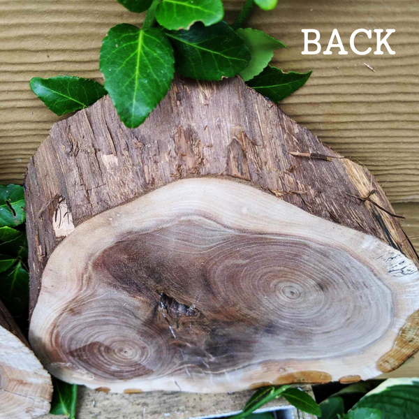 Small Black Walnut Rustic Wood Centerpiece with Epoxy Finish