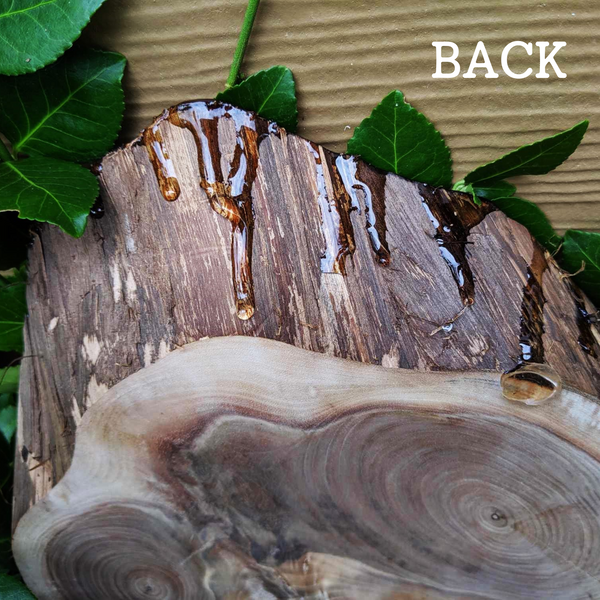 Small Black Walnut Rustic Wood Centerpiece with Epoxy Finish