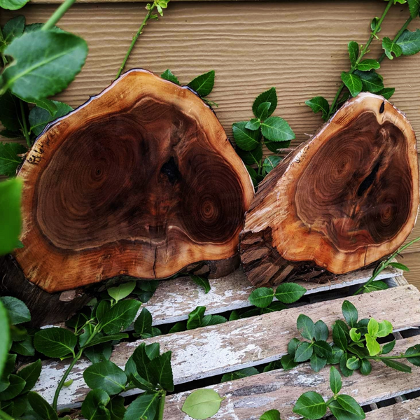 Small Black Walnut Rustic Wood Centerpiece with Epoxy Finish