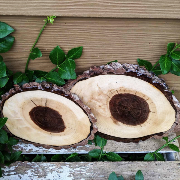 Small Black Walnut Rustic Wood Centerpiece with Epoxy Finish