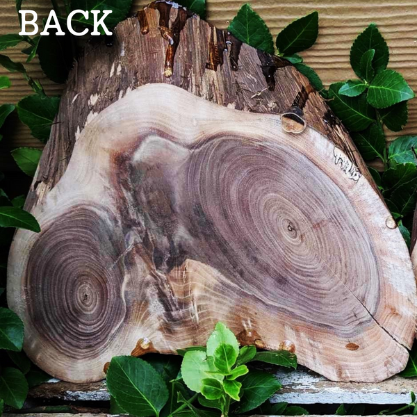 Small Black Walnut Rustic Wood Centerpiece with Epoxy Finish