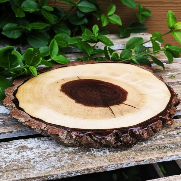 Small Black Walnut Rustic Wood Centerpiece with Epoxy Finish