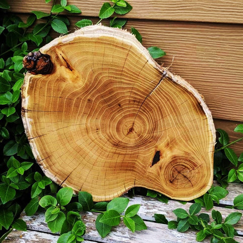 Black Locust Rustic Wooden Centerpiece with Epoxy Finish - Springhill Millworks